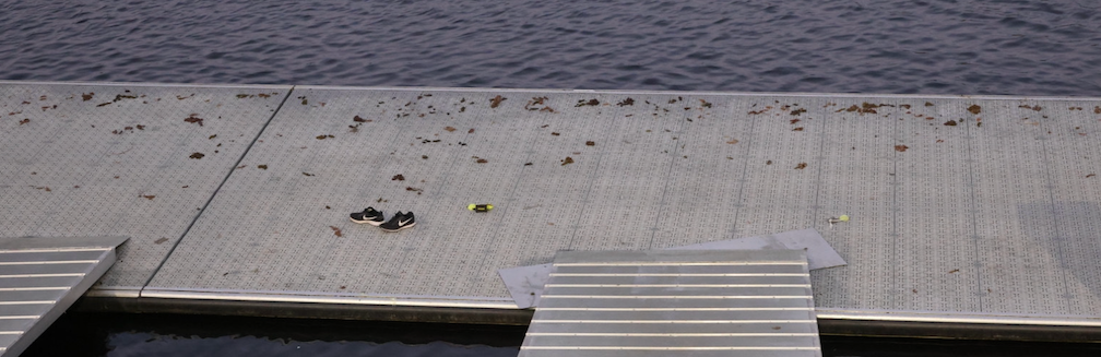 goose poop on dock