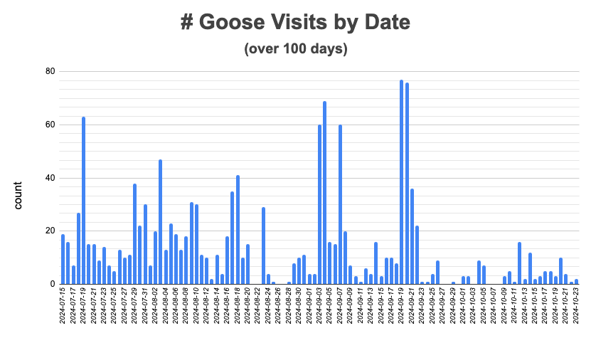 SGDS visits by date